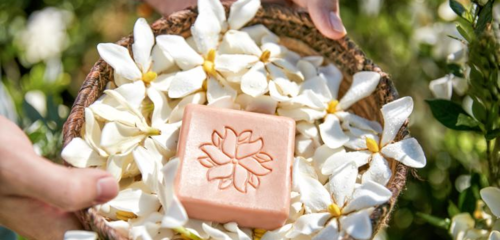 在生態友好的旅途中，愛上泰順 可持續旅游項目開發與管理的探索